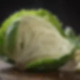 Nutritional analysis of boiled cabbage