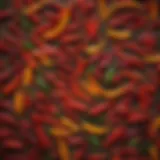 A variety of chili peppers displayed in vibrant colors