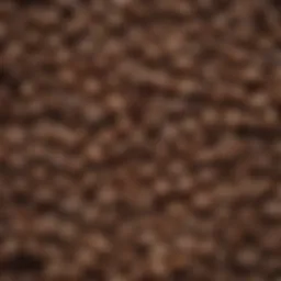 A close-up view of coffee beans highlighting the decaffeination process