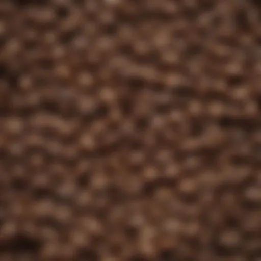 A close-up view of coffee beans highlighting the decaffeination process