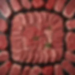 A beautifully arranged kosher meat platter showcasing various cuts and types.