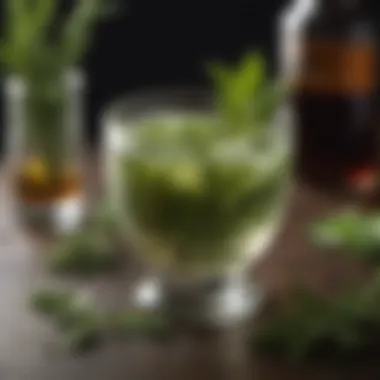 Assortment of fresh herbs and garnishes for cocktails