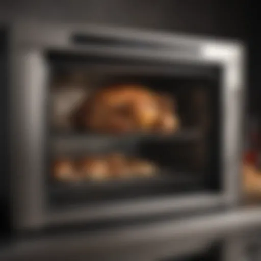 A rotisserie chicken commercial oven showcasing its design and interior mechanism