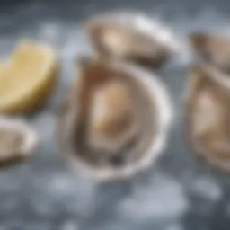 A close-up view of fresh oysters on a bed of ice, highlighting their natural beauty and freshness.