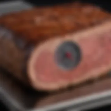Precision in Temperature Measurement Thermometer showing ideal brisket temperature