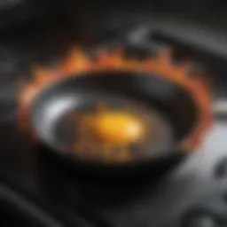 A sleek splatter lid placed over a frying pan on a stove