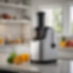 An elegant Viesimple masticating juicer on a kitchen countertop