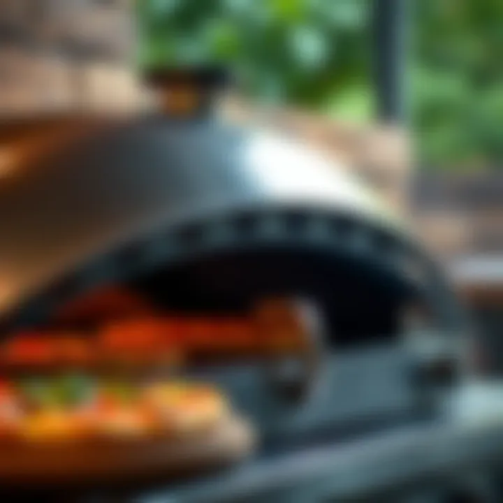 Close-up of the Weber Gas Pizza Oven showcasing its sleek design and innovative features