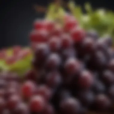 Diverse Grape Varieties: The Foundation of Exceptional Wines Close-up of grape varieties used in high-quality red wines