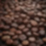 A selection of gourmet chocolate licorice