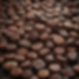 A selection of gourmet chocolate licorice