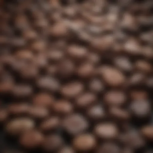 A selection of gourmet chocolate licorice