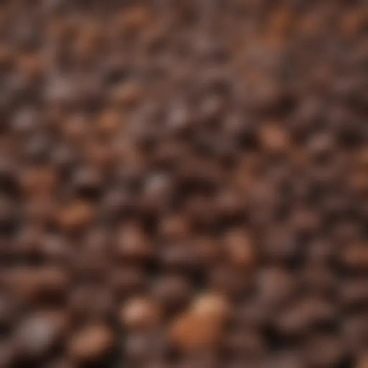Specialty store showcasing chocolate licorice