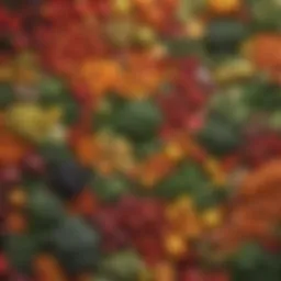 Vibrant assortment of whole foods including fruits and vegetables